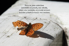 Postikortti - Vain se joka uskaltaa