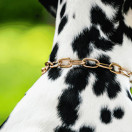 Ketjupanta keskilenkki CUROGAN 3 mm