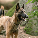 Ketjupanta keskienkki SPRENGER-koukulla - RST Musta 3 mm