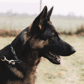 Ketjupanta keskilenkki SPRENGER-koukulla - RST teräs 3 mm