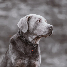 Ketjupanta keskilenkki RST Musta 4 mm