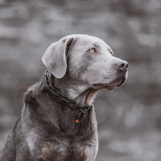 Ketjupanta keskilenkki RST Musta 4 mm