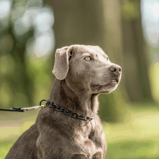 Ketjupanta keskilenkki RST Musta 4 mm