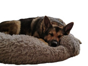 Koiran pedit / Alustat