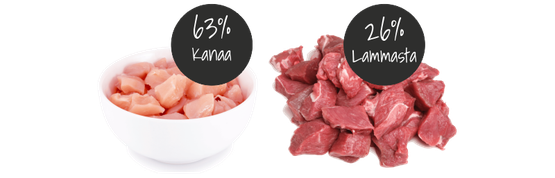 Koiran lihaherkku ERA Jerky Snack - Lamb 90 g