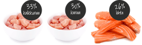 Koiran lihaherkku ERA Jerky Snack - Salmon 90 g