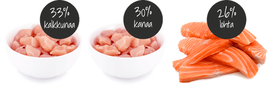 ERA Jerky Snack - Salmon 90 g