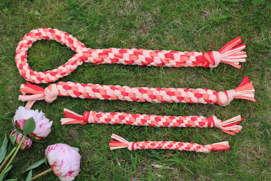 Koiran vetolelu TAAVI kahvalla