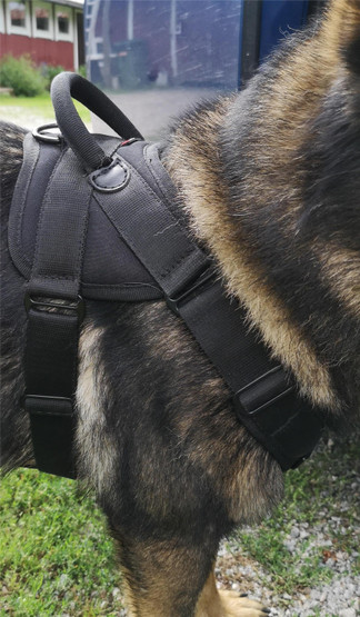 Valjaat suojeluun VERO+