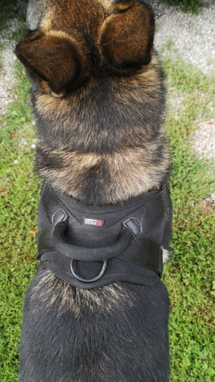 Valjaat suojeluun VERO+