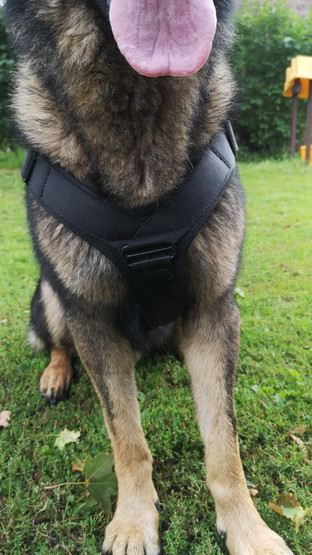 Valjaat suojeluun VERO+