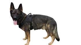 Valjaat suojeluun VERO+