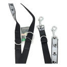 Heijastava talutin tassuilla 25 mm x 200 cm