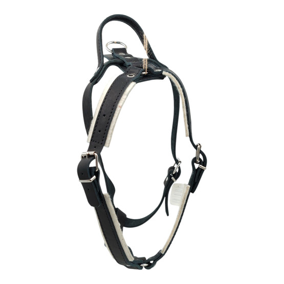 Suojeluvaljas Gappay