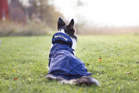 Koiran Verkkotakki - Back on Track