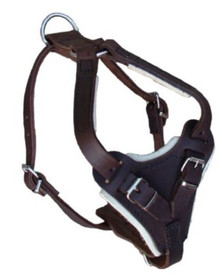 JHS Rasvanahkavaljas Ruskea