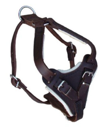 JHS Rasvanahkavaljas Ruskea