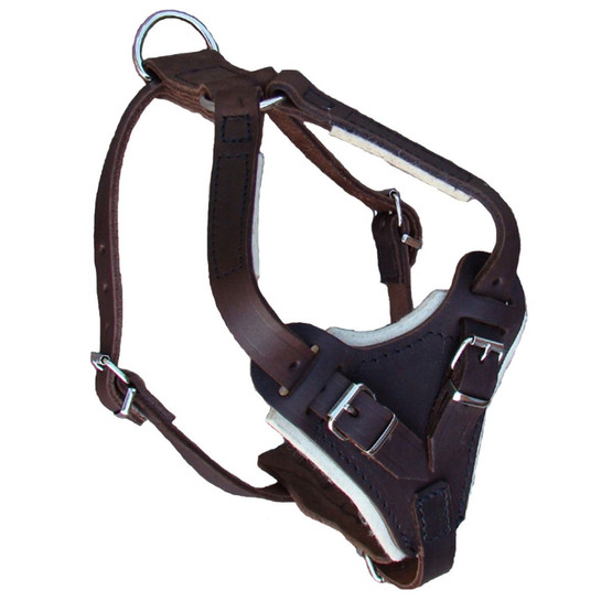 JHS Rasvanahkavaljas Ruskea