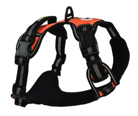  Koiran valjaat LEMMIBOX