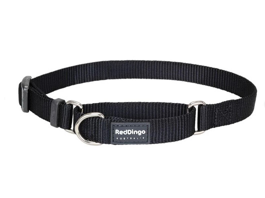  Martingale kaulapanta Red Dingo 25 mm x 41 - 62 cm
