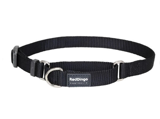 Puolikiristävä kaulapanta Red Dingo 25 mm x 41 - 62 cm