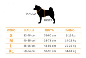  Koiran valjaat LEMMIBOX