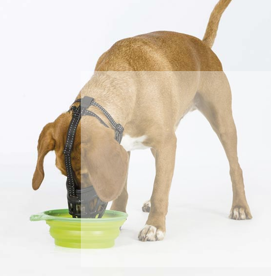 Kuonokoppa Trixie Flex silikonia