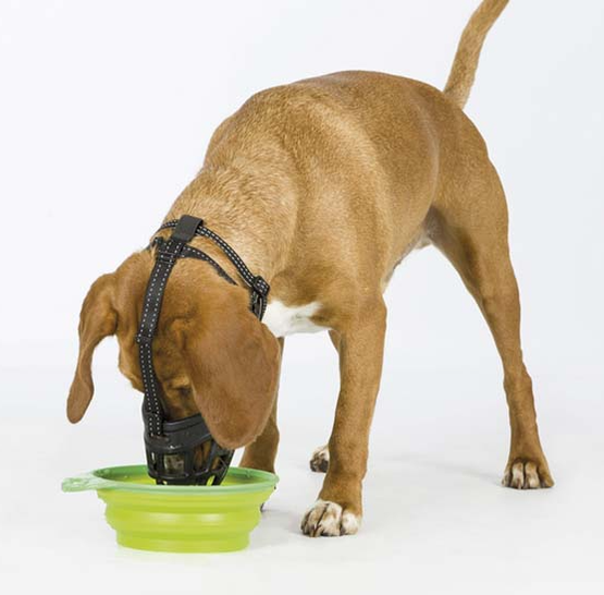 Kuonokoppa Trixie Flex silikonia