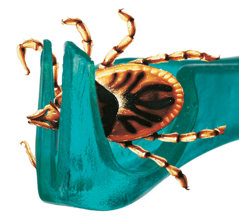 Punkkien poistolaite Tick Away 7 cm avaimenperällä