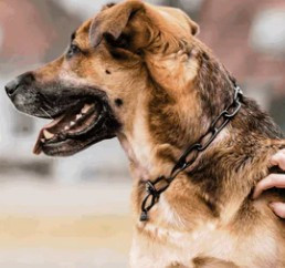 Ketjupanta pitkälenkki RST musta 4 mm