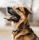 Ketjupanta pitkälenkki RST musta 4 mm