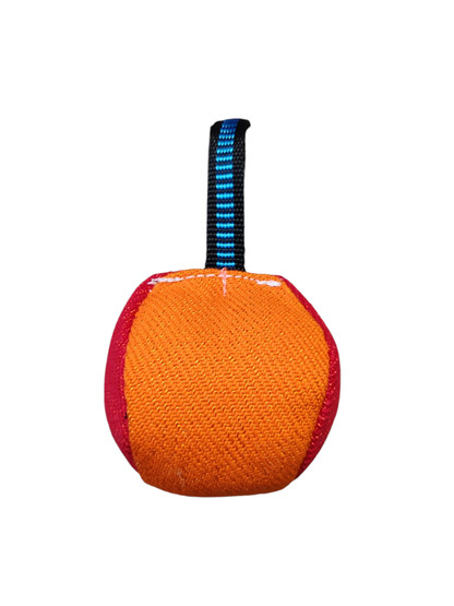 Magneettipallo koiralle Nylcot 10 cm