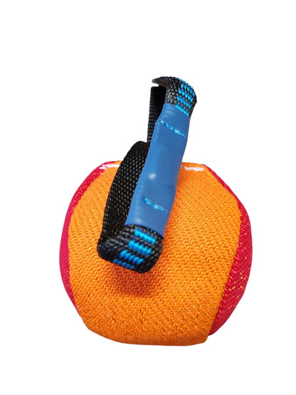 Magneettipallo koiralle Nylcot 10 cm