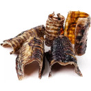 Naudan henkitorvipala