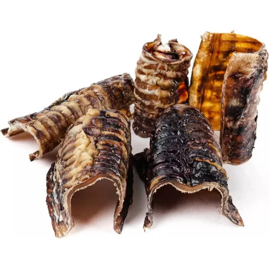 Naudan henkitorvipala