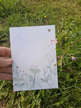 Lehtohorsma -postikortti