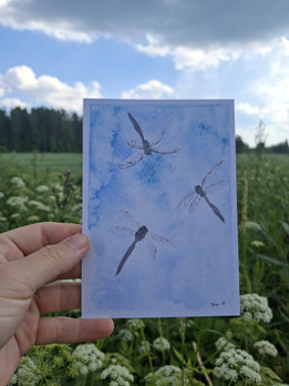 Kesäkorennot -postikortti