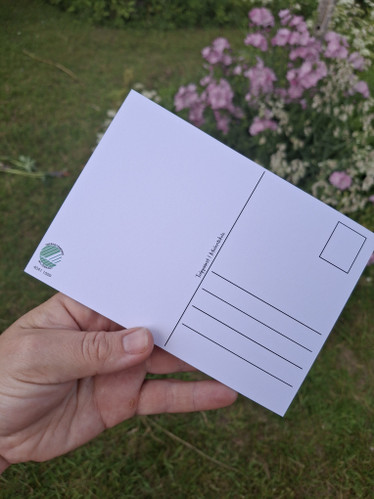 Tulppaanit -postikortti