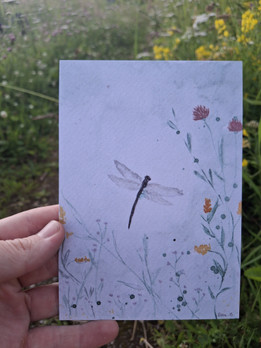 Kukkakorento -postikortti