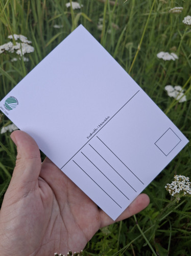 Kesäkoivikko -postikortti