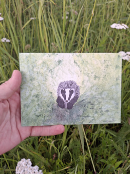 Mäyrän matka -postikortti