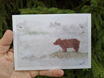 Suolammella -postikortti