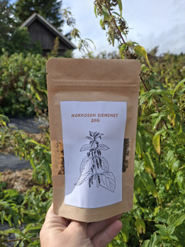 Nokkosen siemenet, 20g
