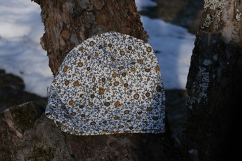 Pikkukukat -trikoopipo