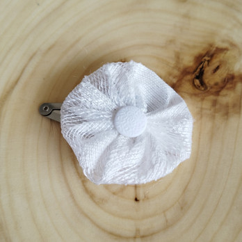 Snow White hohde-Pinni, valkoinen kukinto