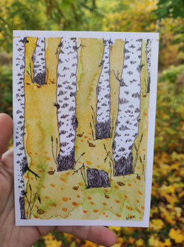 Ruskakoivikko -postikortti