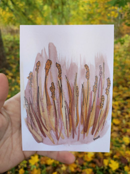 Syyskaislat -postikortti