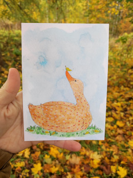 Hilman syyshaave -postikortti