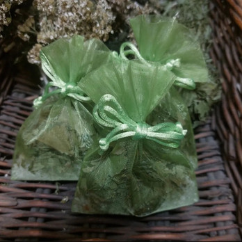 Jalkakylpysuola, Koivu