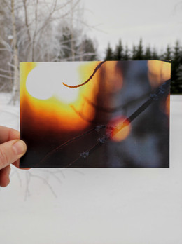 Kevättalven valo -postikortti